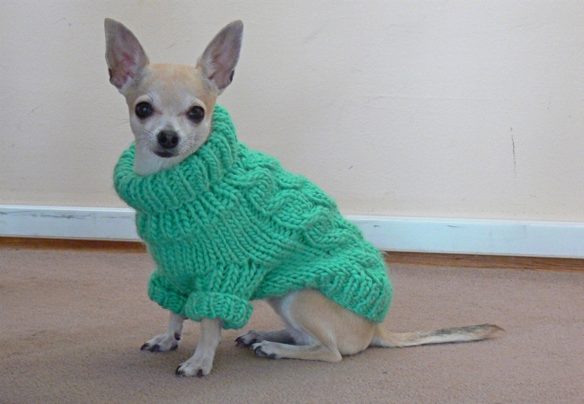 Ljubimci: Ispletite džemper sa pletenicama za kucu